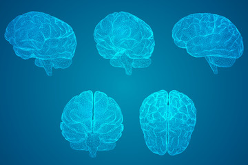 包含上海新增10例本土确诊病例的词条