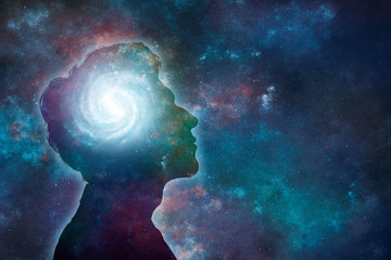 包含上海新增10例本土确诊病例的词条