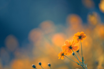 河南大学假期安排/河南大学寒假放假