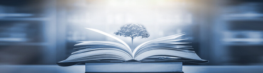 雪铁龙升项房车价位(雪铁龙四驱升顶房车国产了吗)