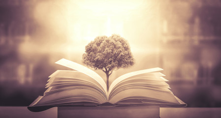 河南大学假期安排/河南大学寒假放假