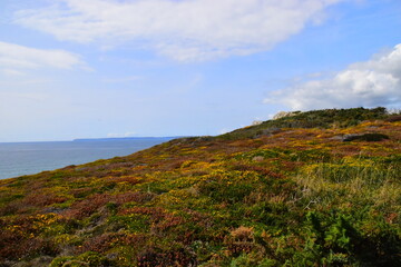 包含上海新增10例本土确诊病例的词条