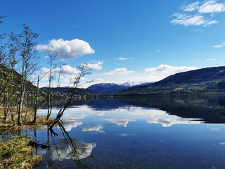 大连进入战时状态(大连 战时状态)