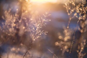 唐山丰润限行扣几分(唐山丰润限号查询2020)