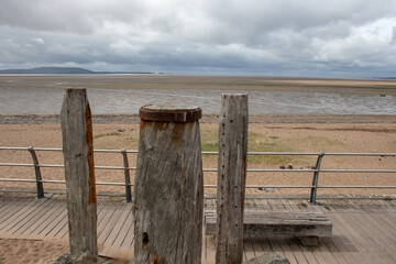 包含上海新增10例本土确诊病例的词条