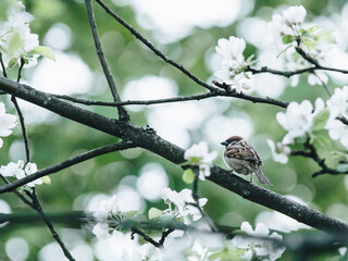 【长春疫情最新公布,长春疫情最新病例】