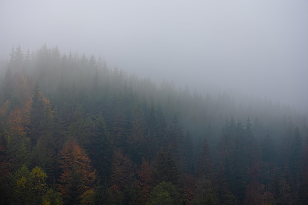 河南大学假期安排/河南大学寒假放假