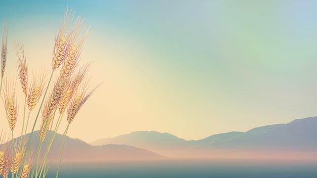 河南大学假期安排/河南大学寒假放假