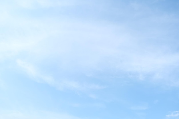 包含上海新增10例本土确诊病例的词条